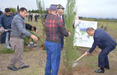 Astarada “Yaşıl dünya naminə həmrəylik ili” çərçivəsində ağacəkmə aksiyası davam edir