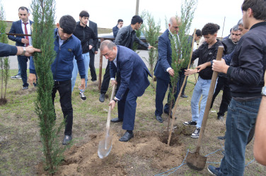 Astarada “Yaşıl dünya naminə həmrəylik ili” çərçivəsində ağacəkmə aksiyası davam edir