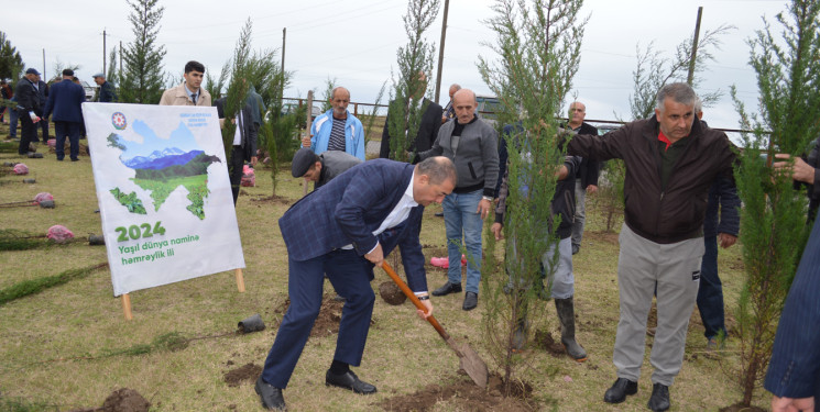 Astarada “Yaşıl dünya naminə həmrəylik ili” çərçivəsində ağacəkmə aksiyası davam edir