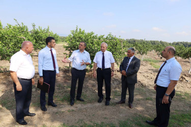 Astarada kənd təsərrüfatının inkişafına dair  Dövlət Proqramının icrası çərçivəsində görülmüş işlər və hədəflər müzakirə olunmuşdur.