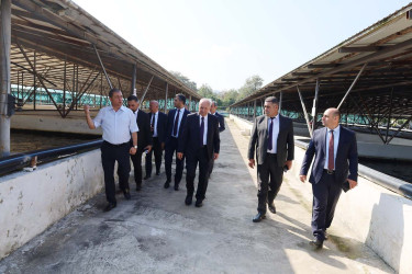 Astarada kənd təsərrüfatının inkişafına dair  Dövlət Proqramının icrası çərçivəsində görülmüş işlər və hədəflər müzakirə olunmuşdur.