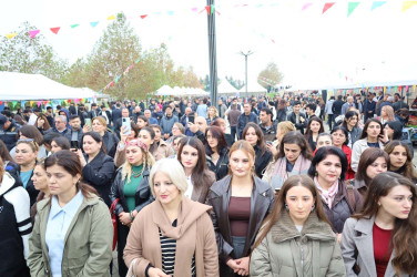 TƏDBİRLƏR-2025